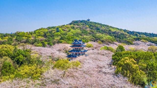 一个人真正的成熟，从这3次和解开始