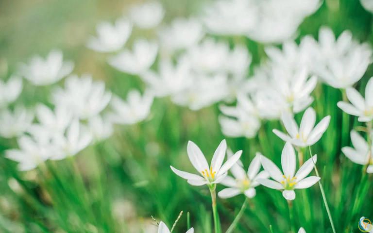 不要有这样的心理，那就是别人都笨，自己最聪明