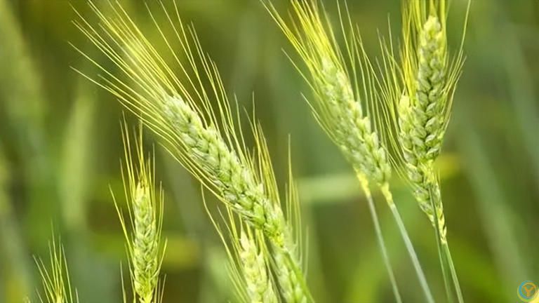 生活真相：只要活着，人生难免坎坷