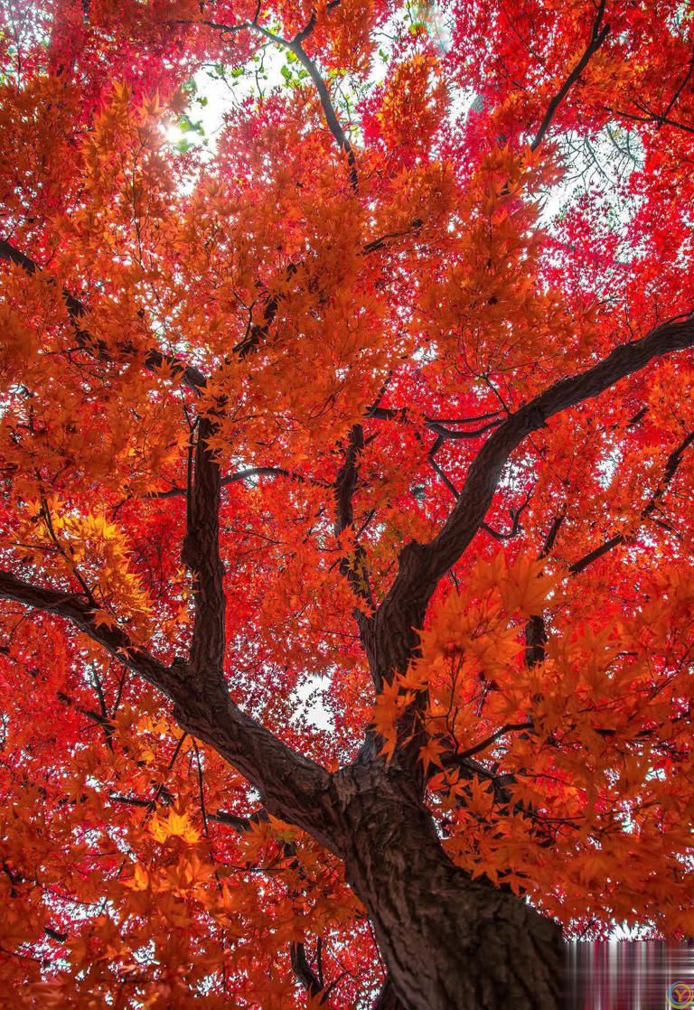 善待自己，笑对人生，岁月不在于长短，而在于质量