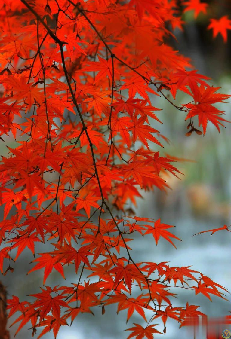 善待自己，笑对人生，岁月不在于长短，而在于质量