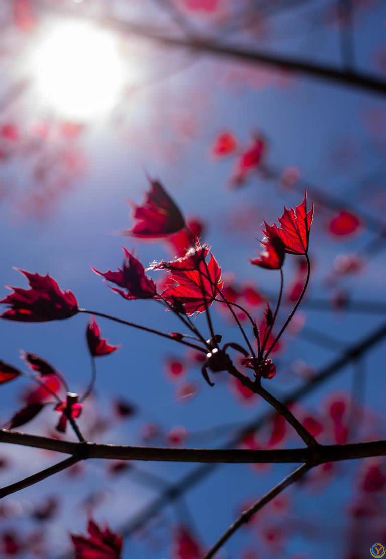 善待自己，笑对人生，岁月不在于长短，而在于质量