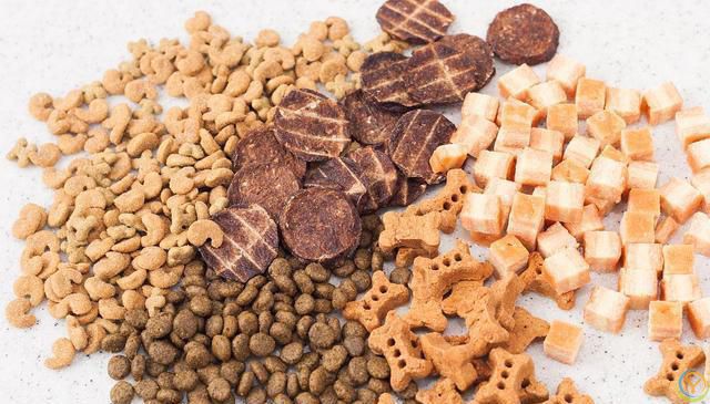 猫咪为什么喜欢吃鸡肉冻干？