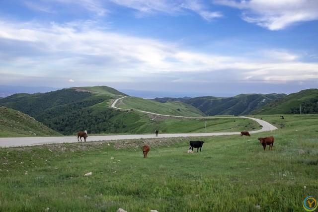 人到中年，懂得低头的人，往往都不简单