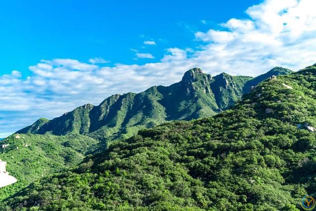 人到中年，懂得低头的人，往往都不简单