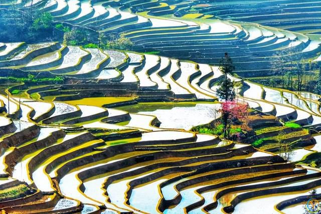 昆明自驾游精选：揭秘最佳旅行目的地