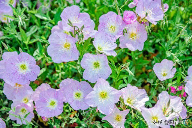 两性关系：你懂什么叫&ldquo;人过五十五，雌雄不再殊&rdquo;吗？不妨来看看