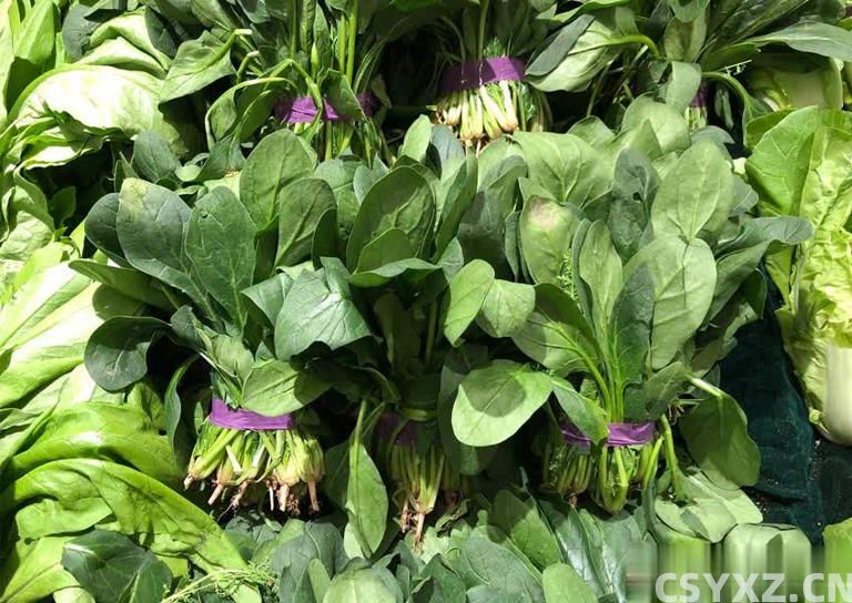 反复提醒！这6种蔬菜要焯水，为家人健康别省这步