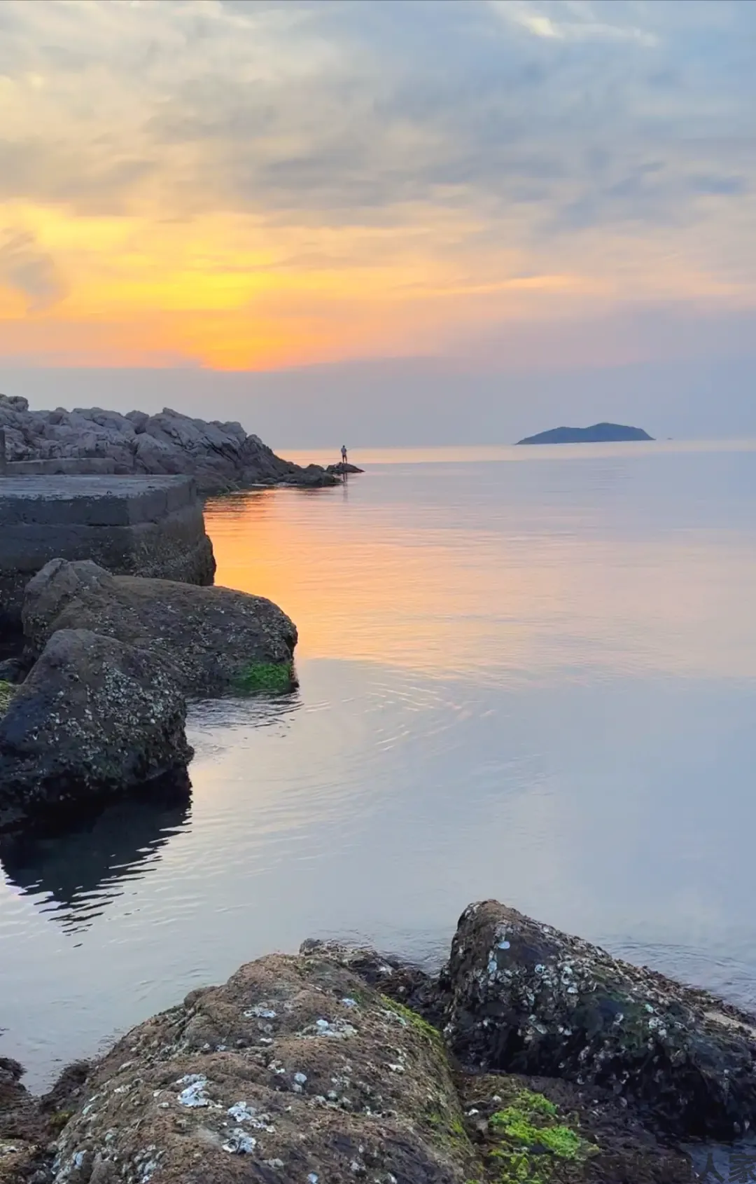 △石头上嵌着很多开裂的白壳。（图/简墨 摄）