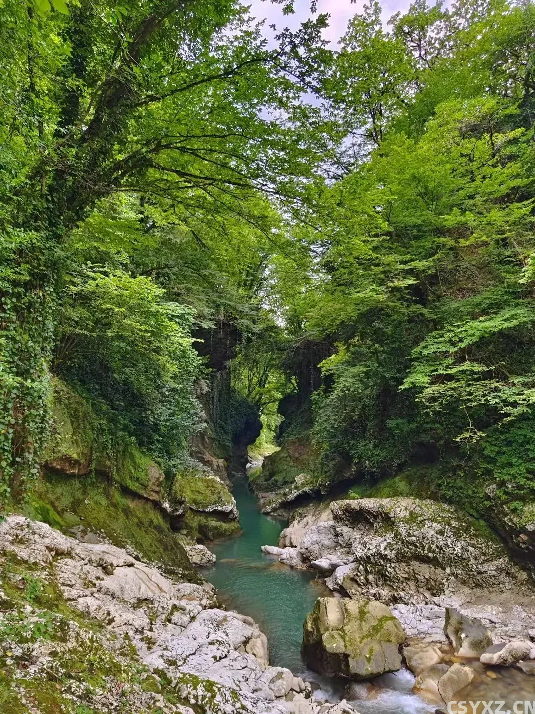 △马特维利峡谷,格鲁吉亚伊梅雷蒂的自然地标之一。(图/受访者供图)