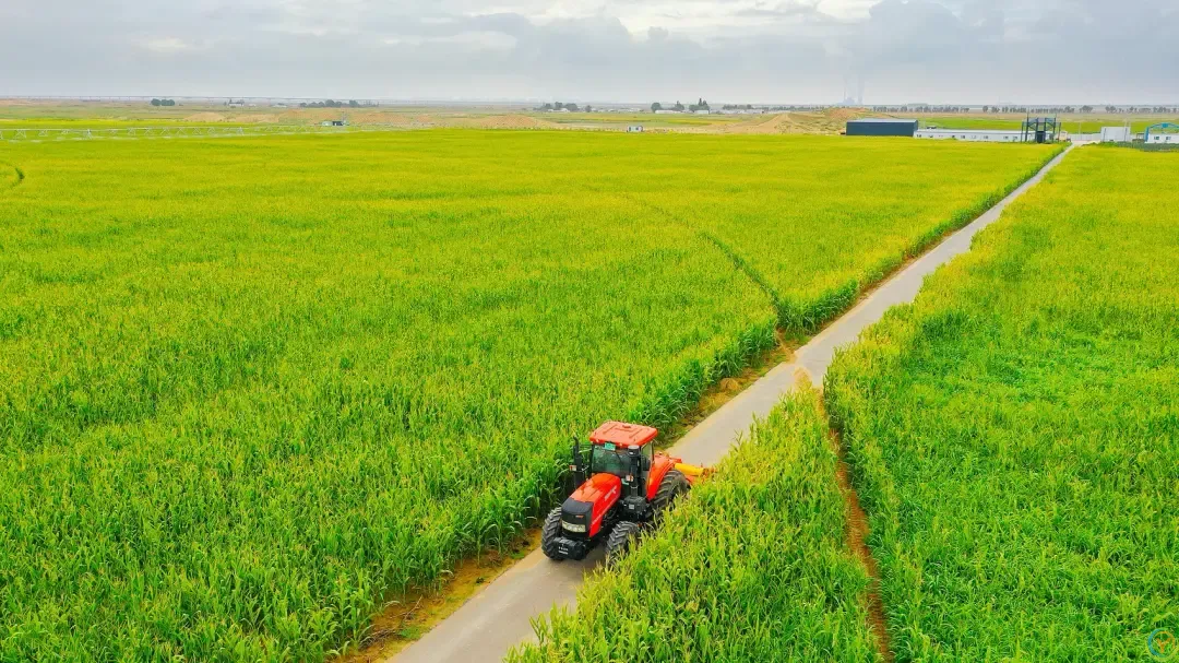 △内蒙古乌海市库布齐沙漠，重庆交通大学“沙漠土壤化”生态恢复试验示范项目基地，