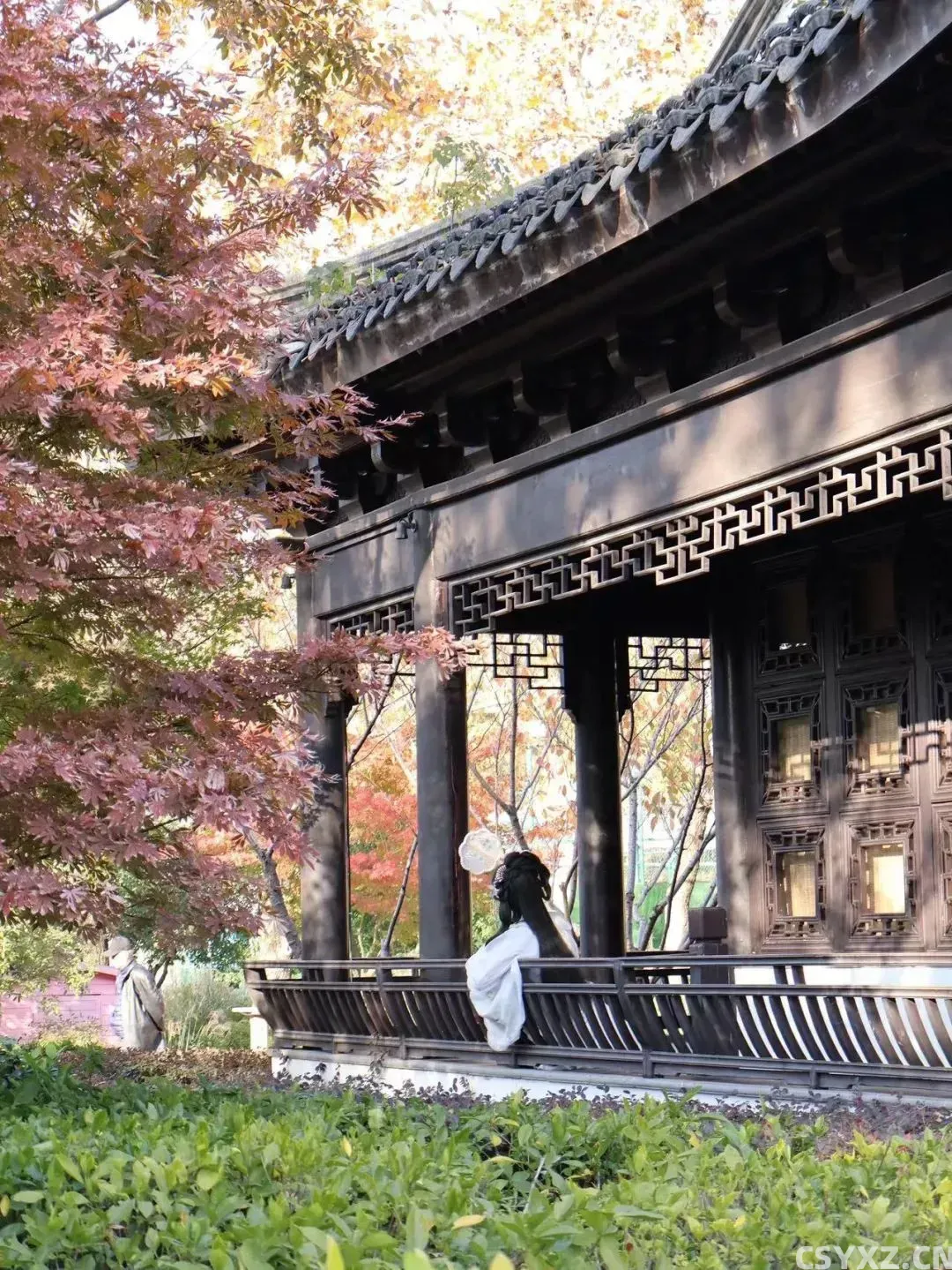 △每一个园林中都随处可见穿着汉服拍摄的“画中人”。(图源/作者)