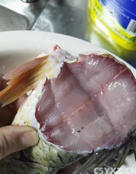 南方鱼塘鱼多到吃不完，鲤鱼却没人碰，原因让人意外