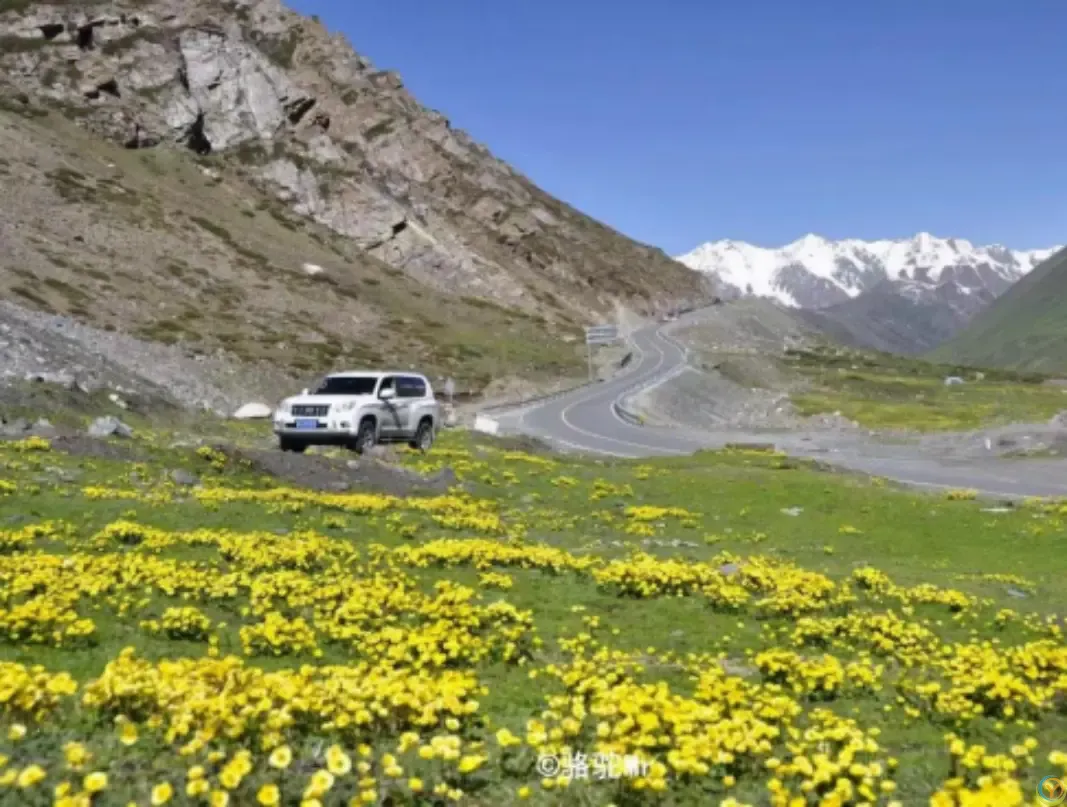 新疆自驾天花板，草原、雪山、沙漠、美食多到数不清