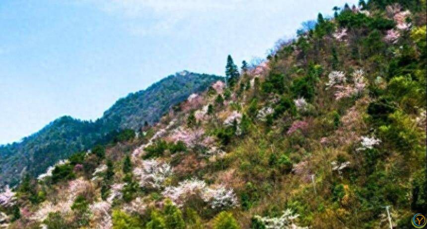 没啥名气的长沙名山，比南岳衡山高70米，沿途风景胜过岳麓山