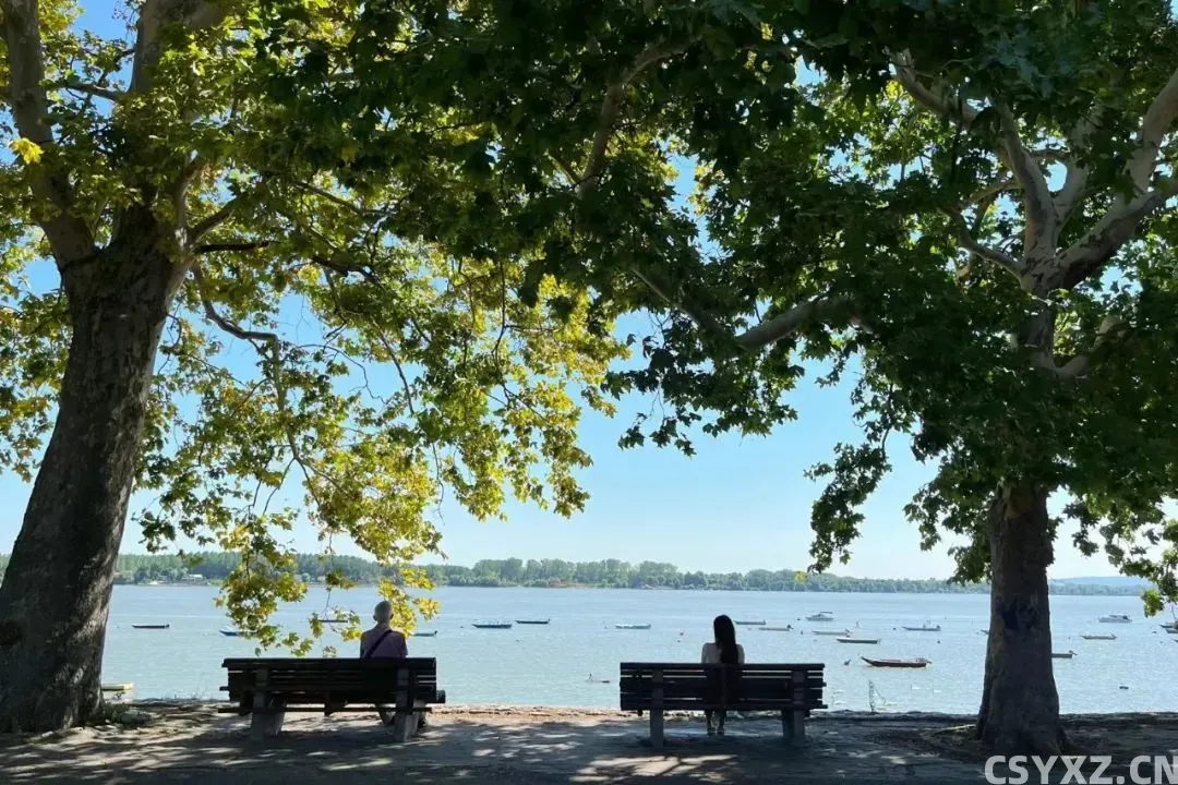 △塞尔维亚泽蒙小镇的天鹅湖。(图/受访者供图)