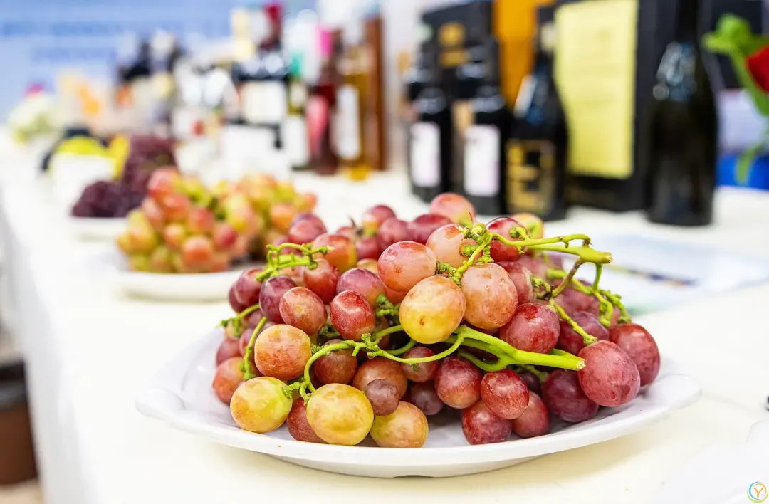 △乌海葡萄与葡萄酒。（图/视觉中国）