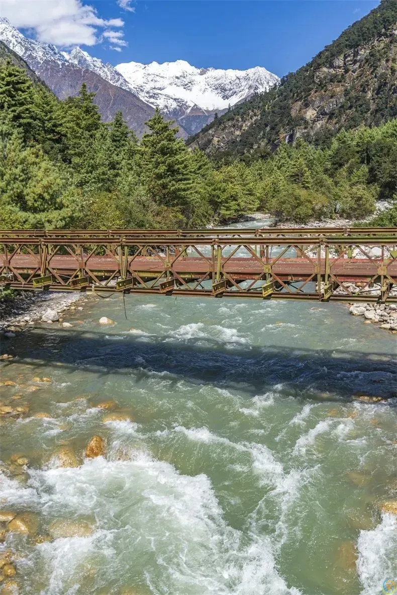 西藏新秘境，比林芝近容易抵达！西藏***不缺氧的森林小镇，推窗就是雪山，镇比市还豪华