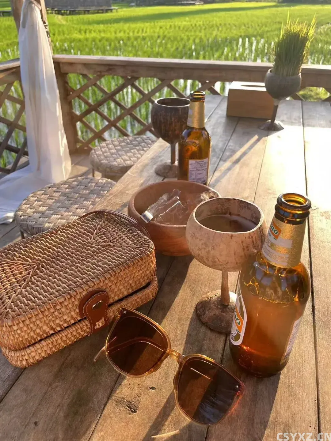 △天气好时,可以在绿油油的稻田之间喝咖啡。(图/受访者供图)