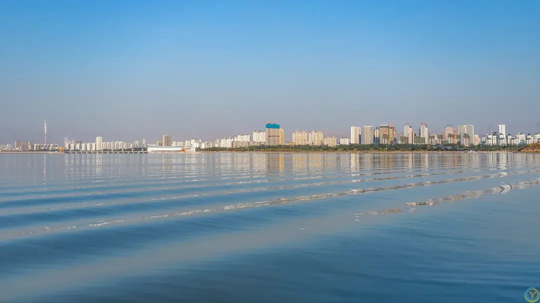 △乌海黄河湿地景观区。（图/视觉中国）