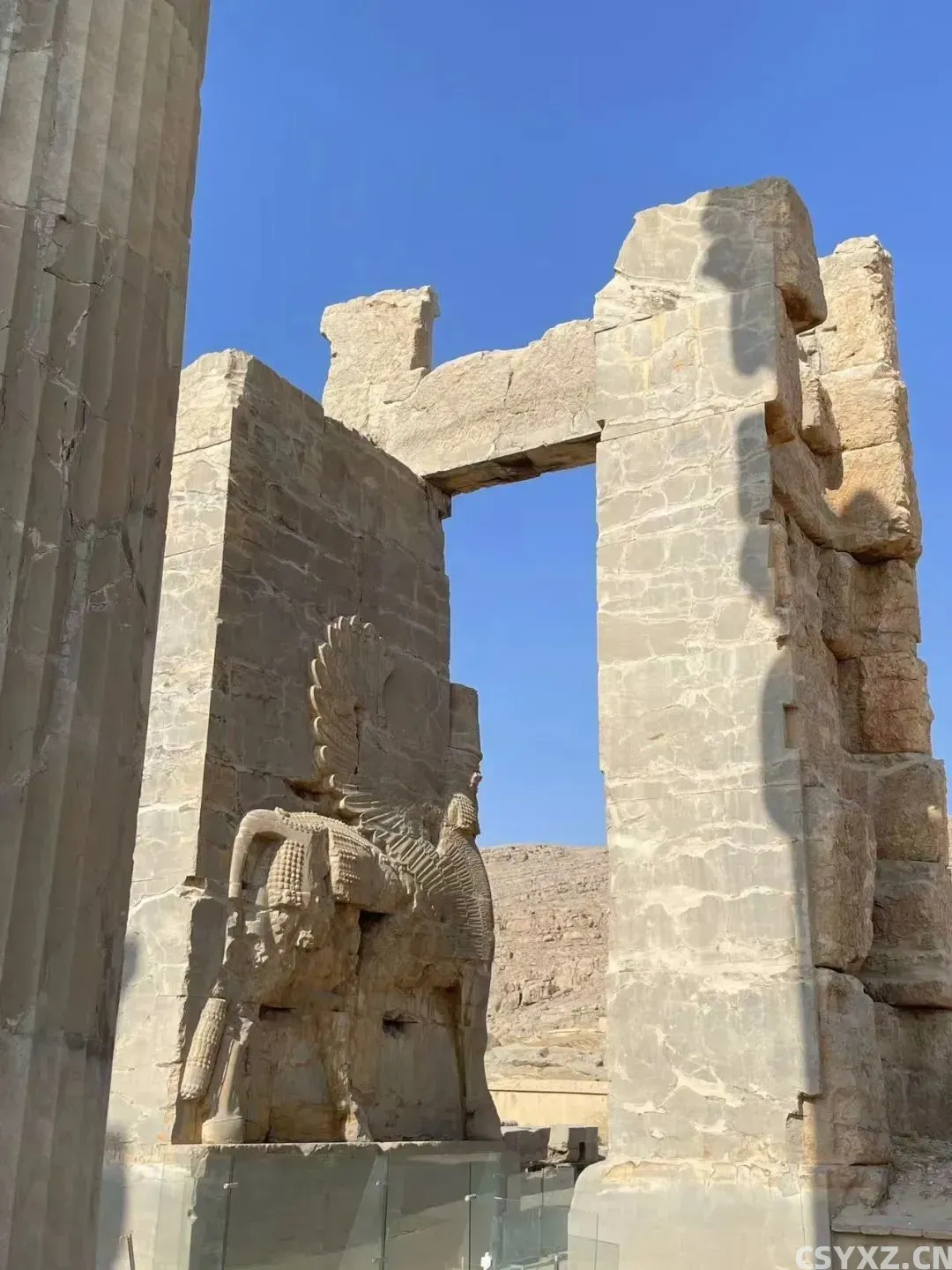 △伊朗天气非常干燥,昼夜温差也很大。(图/受访者供图)