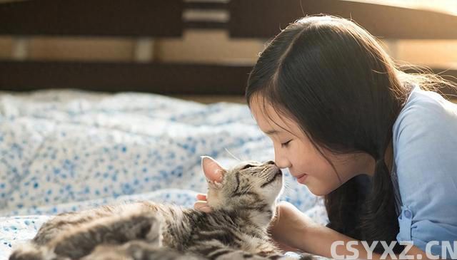 与猫的心灵对话：三大技巧，让你与爱猫情深似海