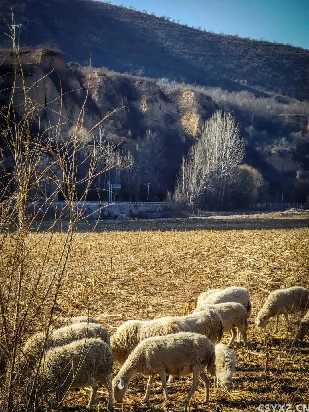 |长治浊漳河谷。图by小红书博主@iwamatsu