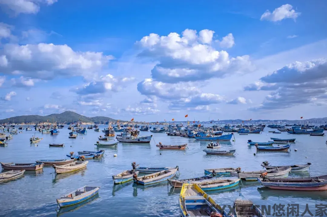 最适合自驾的北方城市，海景和海鲜都绝了