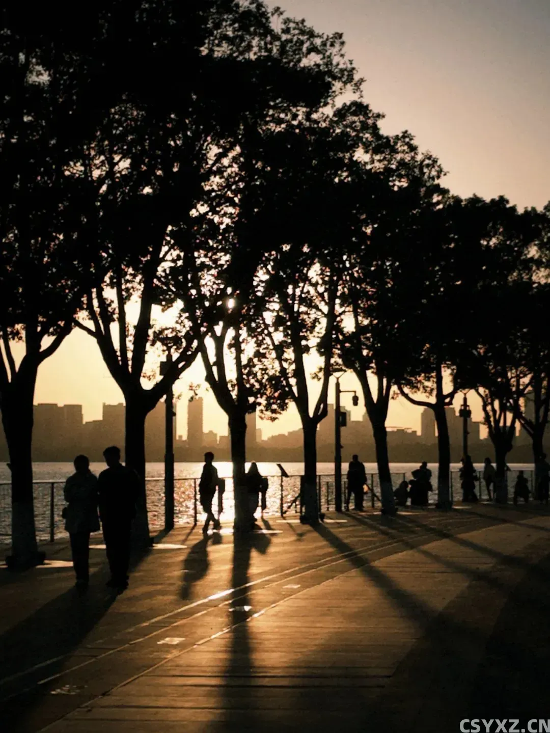 △夕阳给照片增加了电影的质感。(图源/作者)