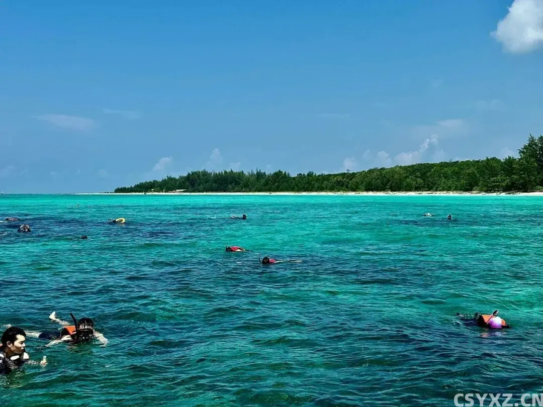 △在清澈的水中浮潜,是一种享受。(图/受访者供图)