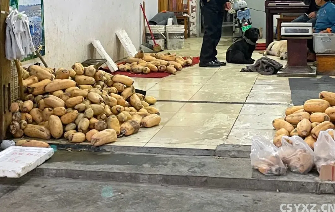 △还是***次看见这样卖菜的市场。(图源/作者)