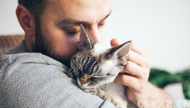 与猫的心灵对话：三大技巧，让你与爱猫情深似海