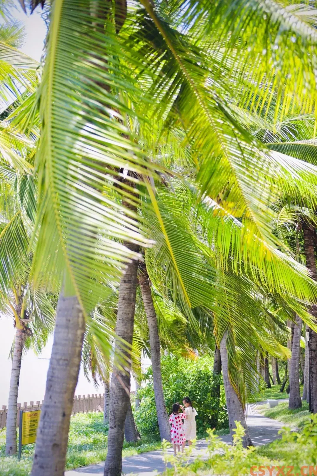 国内避寒天花板，在海南这个四线小城