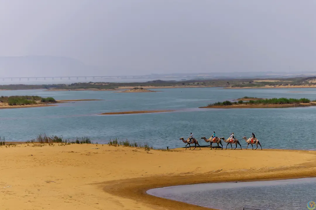 △乌海湖湖岸的沙漠景观。（图/视觉中国）