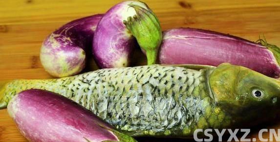 南方鱼塘鱼多到吃不完，鲤鱼却没人碰，原因让人意外