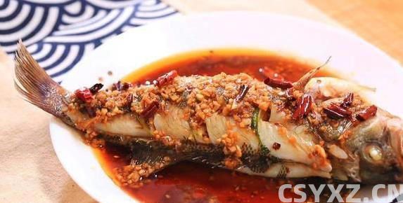 南方鱼塘鱼多到吃不完，鲤鱼却没人碰，原因让人意外