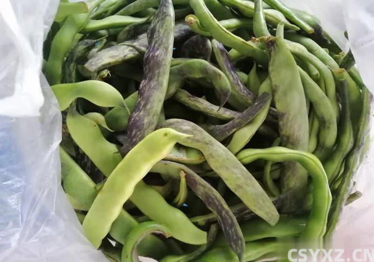 反复提醒！这6种蔬菜要焯水，为家人健康别省这步