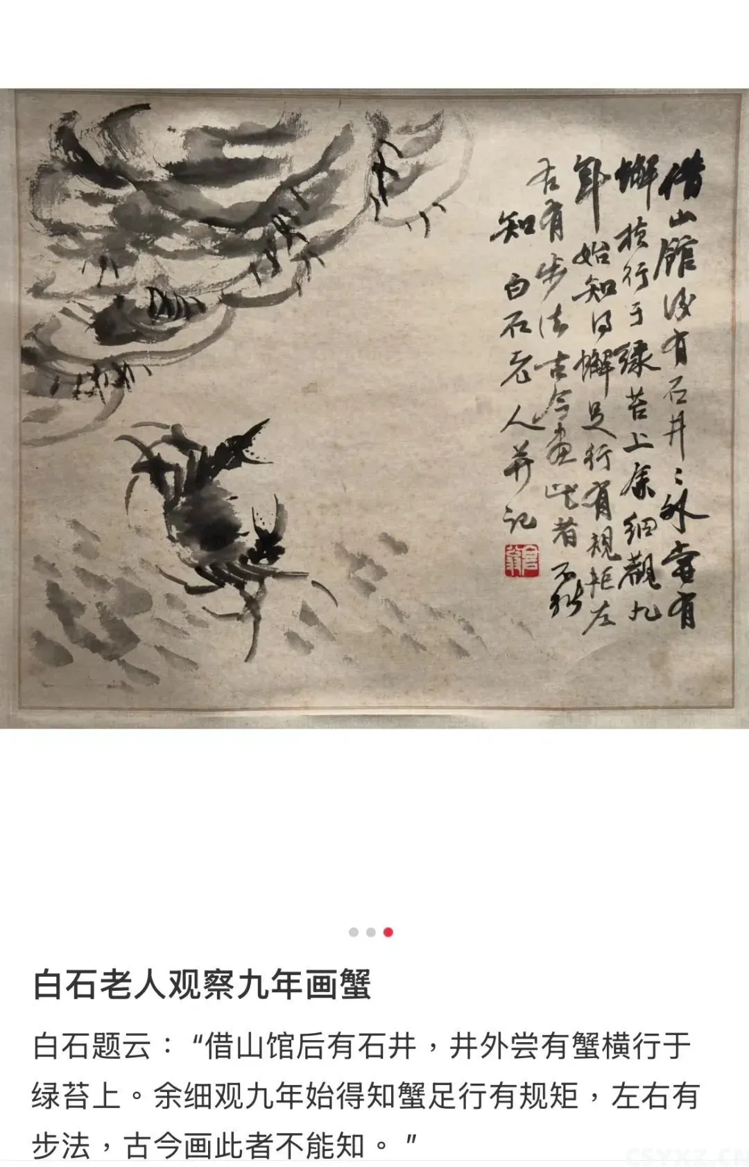 △齐白石画蟹（图/小红书截图）