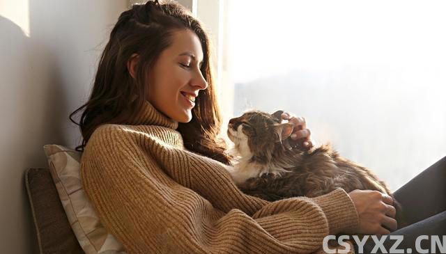 与猫的心灵对话：三大技巧，让你与爱猫情深似海