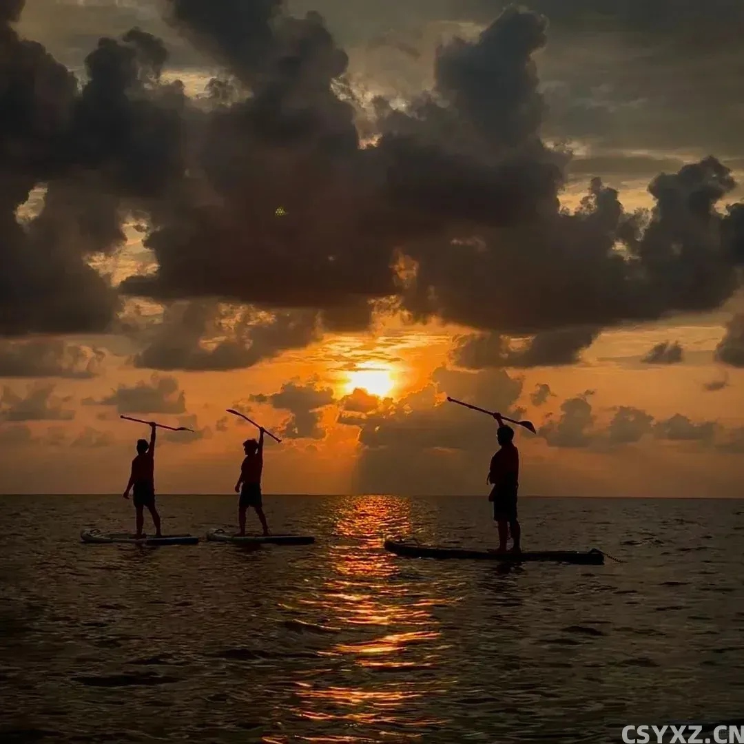 △日落桨板(图/受访者供图)