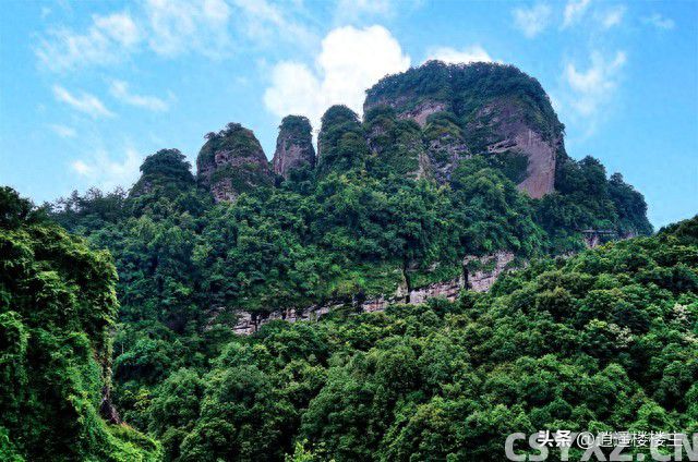 世界上只有海南才有的全球***的5大奇景旅游攻略