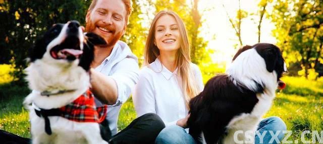 宠物是生活的良师益友，让我们在陪伴中学习成长，成为更***的人