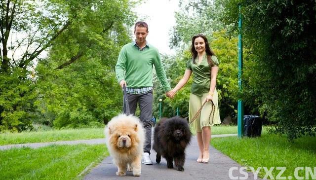 宠物是生活的良师益友，让我们在陪伴中学习成长，成为更***的人