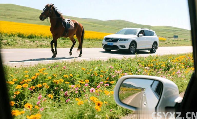 自驾游不香了？五大现实原因让很多人放弃自驾游