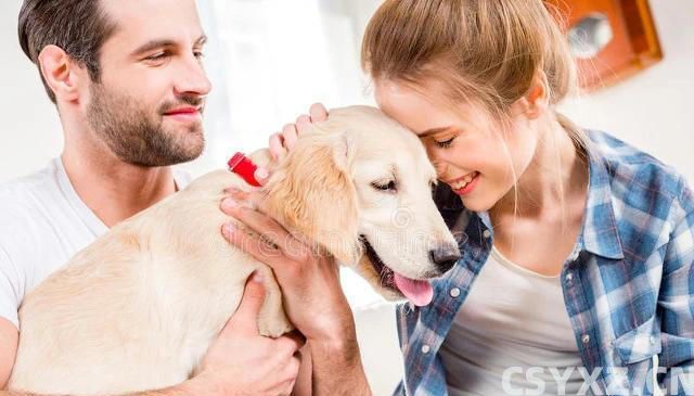 宠物是生活的良师益友，让我们在陪伴中学习成长，成为更***的人