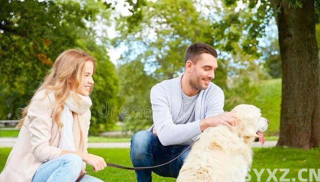 宠物是生活的良师益友，让我们在陪伴中学习成长，成为更***的人