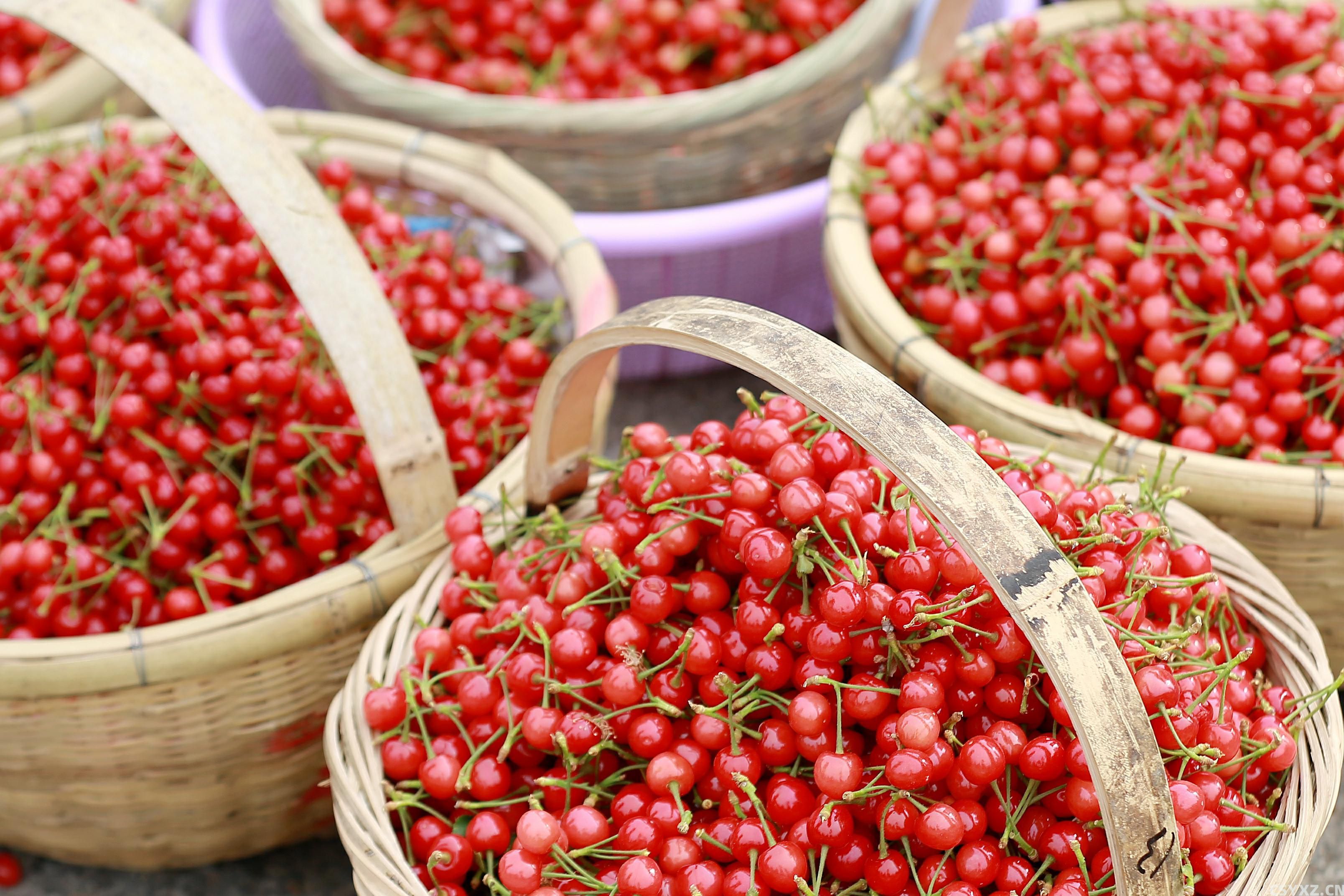 探秘中国之走进山东青岛城阳区