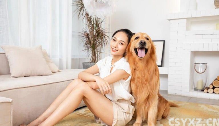 宠物的陪伴能治愈一个人吗