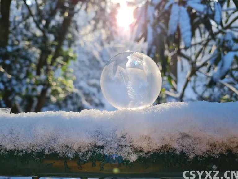 真正活得通透的人，都不计较（深度好文）