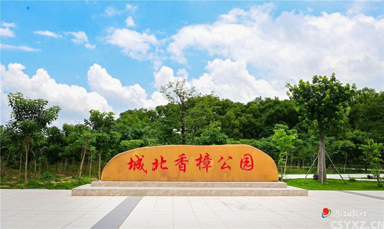 百年香樟焕新颜 廉江城北香樟公园开园成网红打卡地